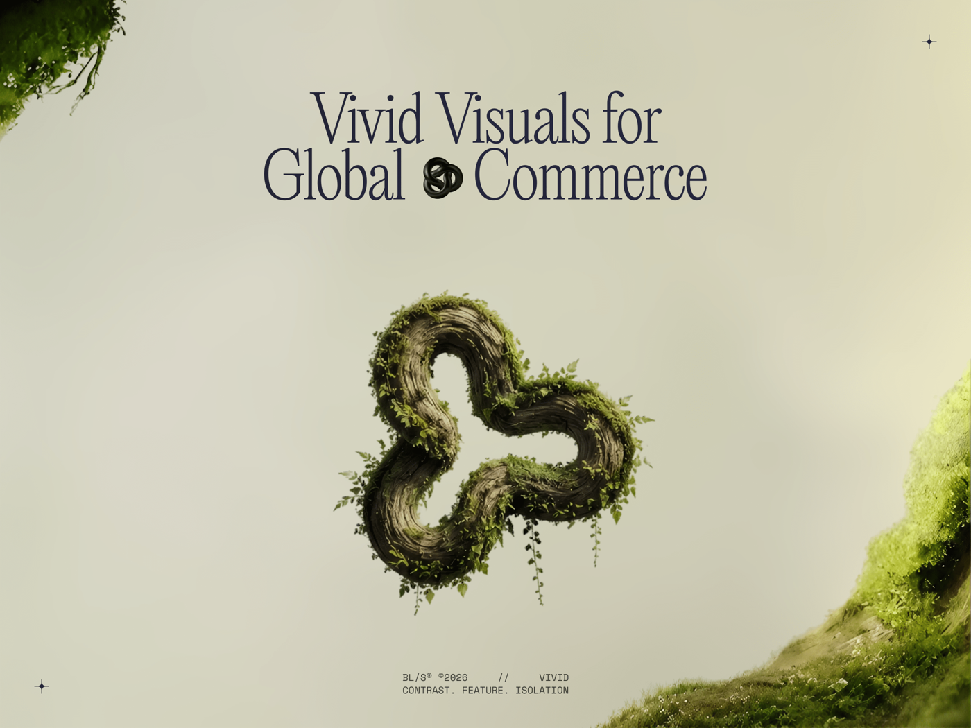 Vivid interactive Webflow experience with expressive colour and motion